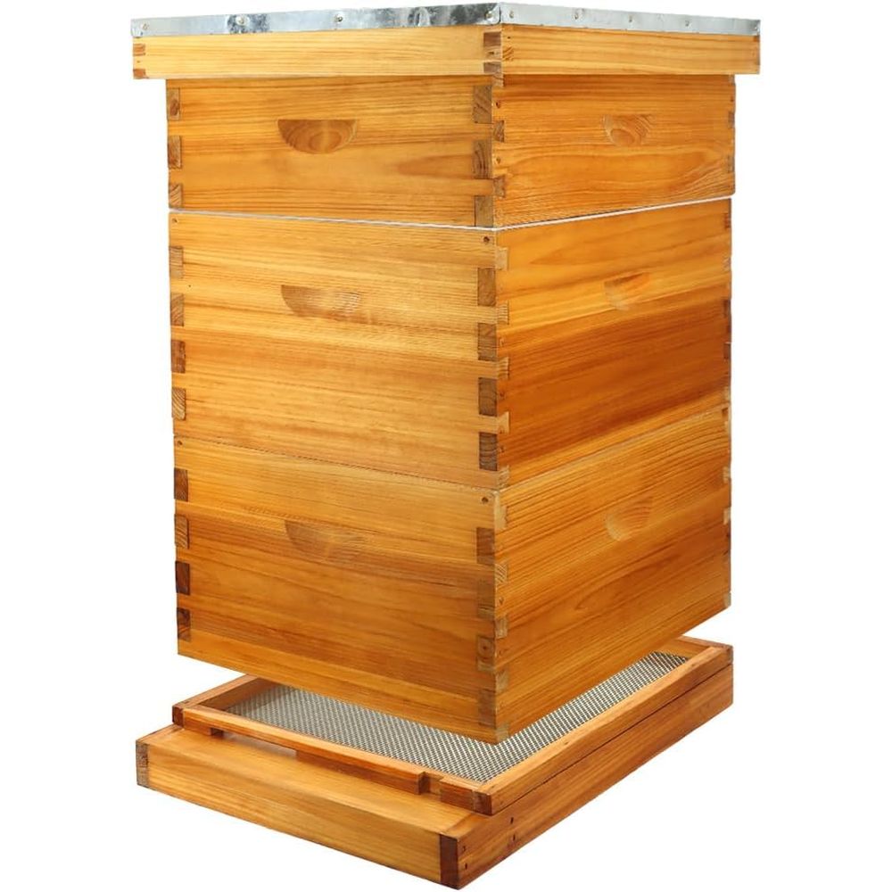 Beehive Frame Wax - ชุดรังผึ้ง 10 เฟรม พร้อมแผ่นฐานเคลือบขี้ผึ้ง ประกอบด้วยแผ่นฐานแบบกล่องขนาดใหญ่ 2