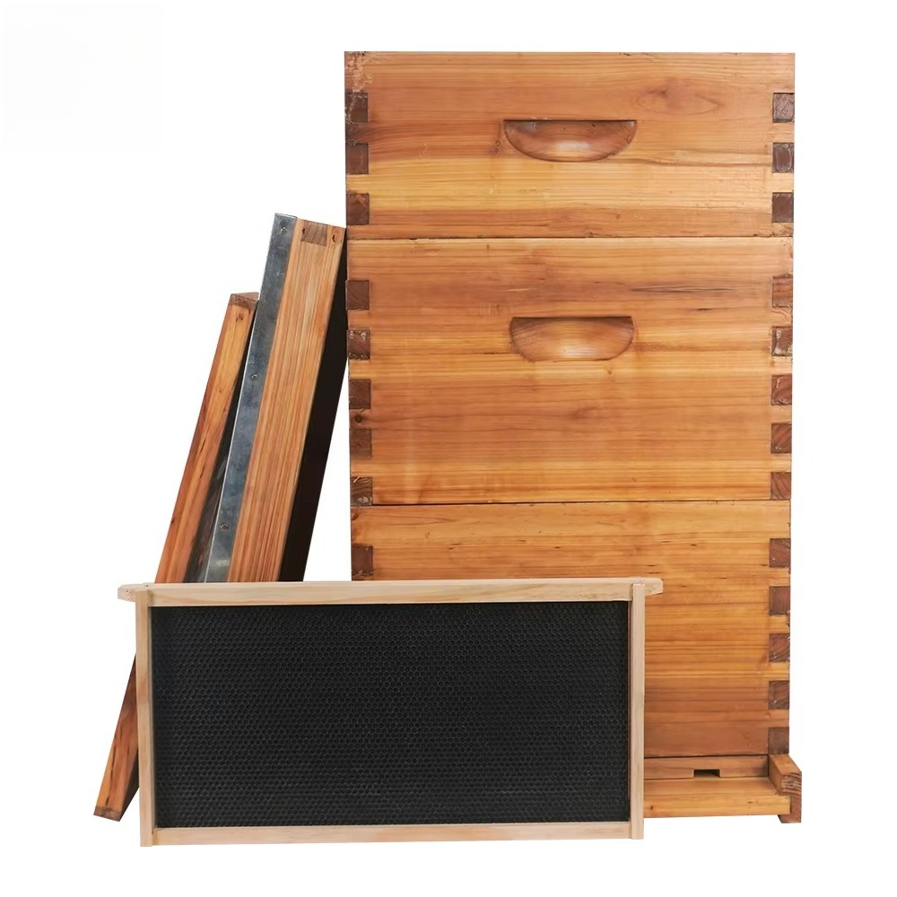 รังผึ้งแบบ Langstroth 3 ชั้น ช - Beehive Frame Wax บทวิจารณ์และราคา