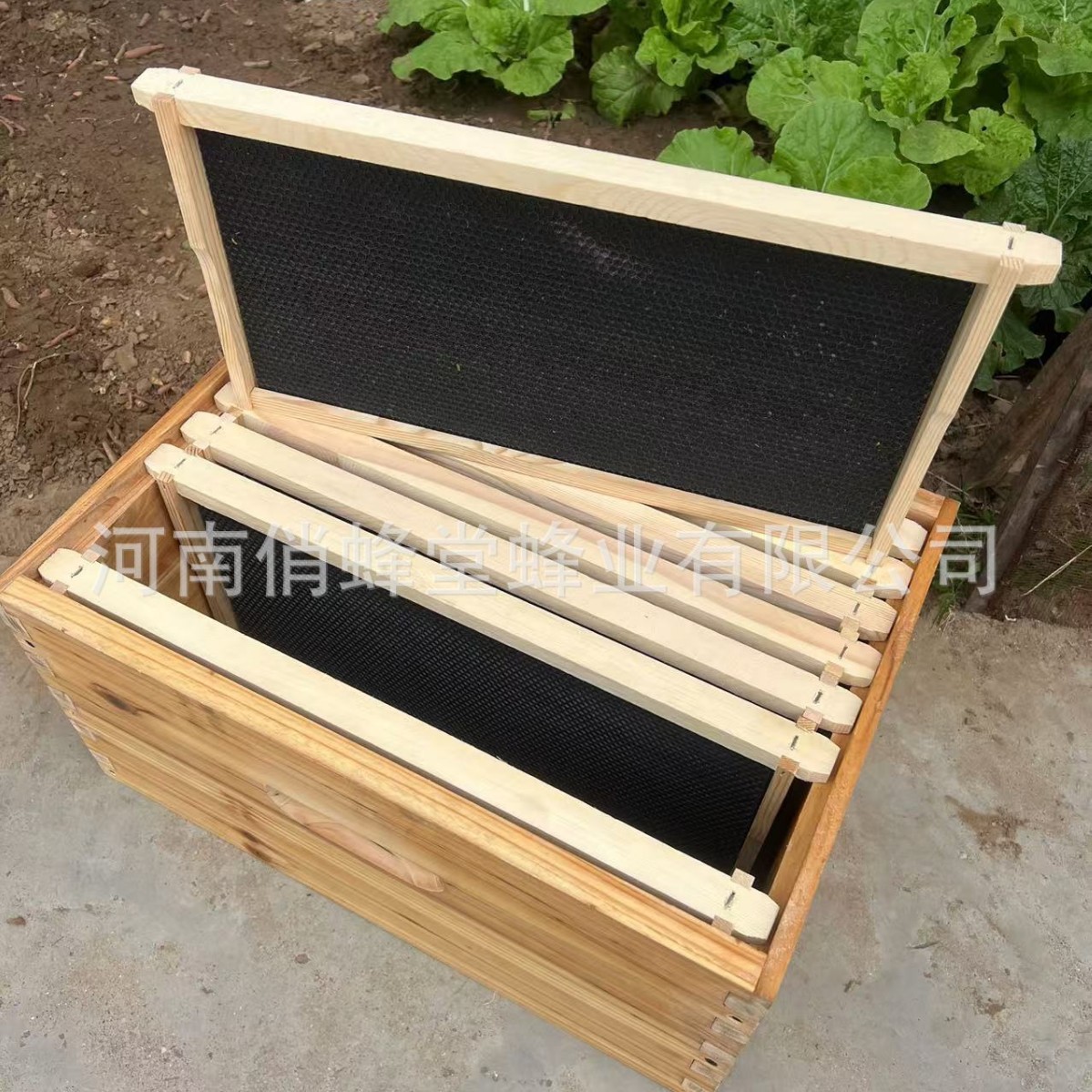 อุปกรณ์การเลี้ยงผึ้งคุณภาพสูง  - Beehive Frame Wax บทวิจารณ์และราคา