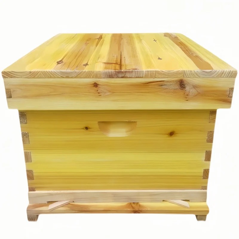 รังผึ้งในกล่องผึ้ง ชุดเต็มของข - Beehive Frame Wax บทวิจารณ์และราคา