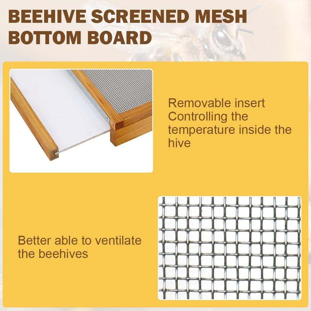 ชุดรังผึ้ง 10 เฟรม พร้อมแผ่นฐา - Beehive Frame Wax บทวิจารณ์และราคา