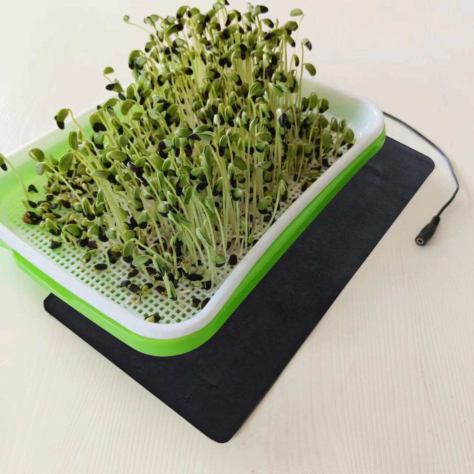 แผ่นทำความร้อนสำหรับเพาะกล้าพื - Seedling Heat Mat บทวิจารณ์และราคา