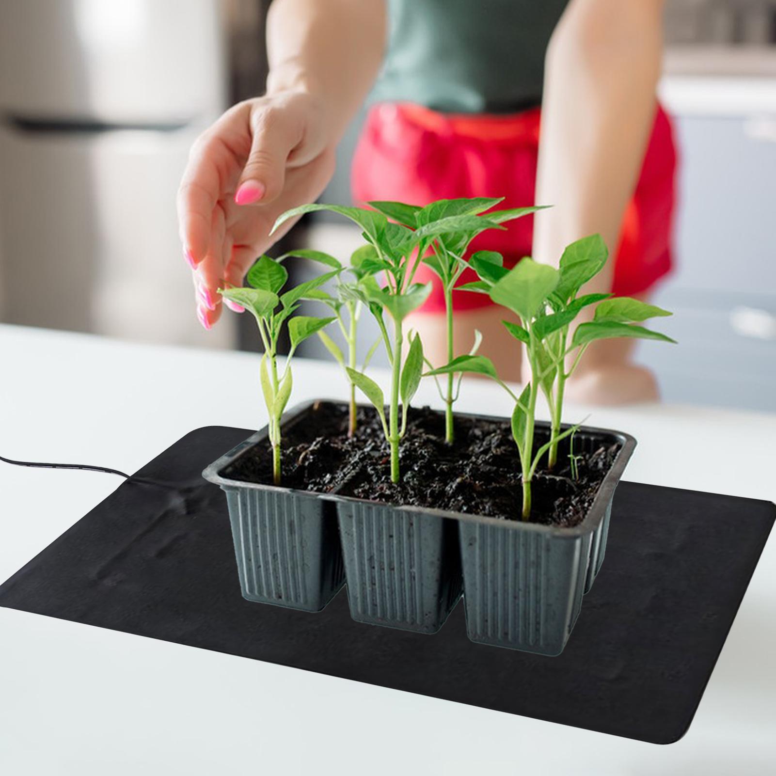 แผ่นทำความร้อนสำหรับต้นกล้า 8. - Seedling Heat Mat บทวิจารณ์และราคา