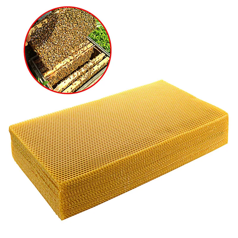 แผ่นรังผึ้งขี้ผึ้ง 30 ชิ้น/แพ็ - Beehive Frame Wax บทวิจารณ์และราคา
